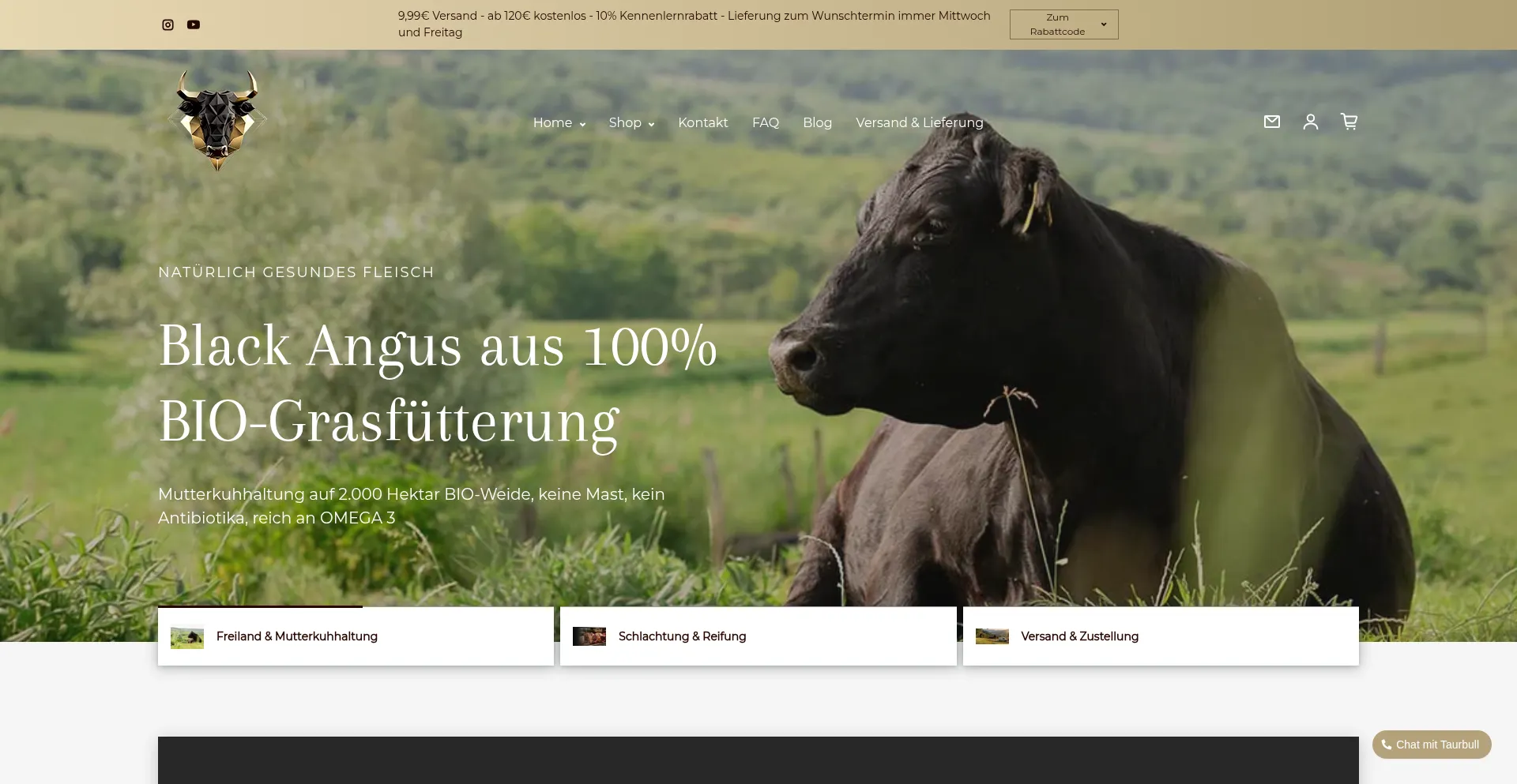 Website screenshot of Taurbull.com