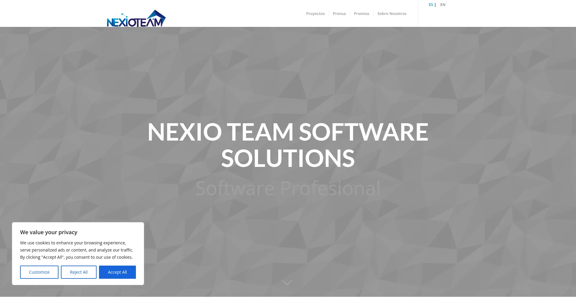 Website screenshot of Team-s.online