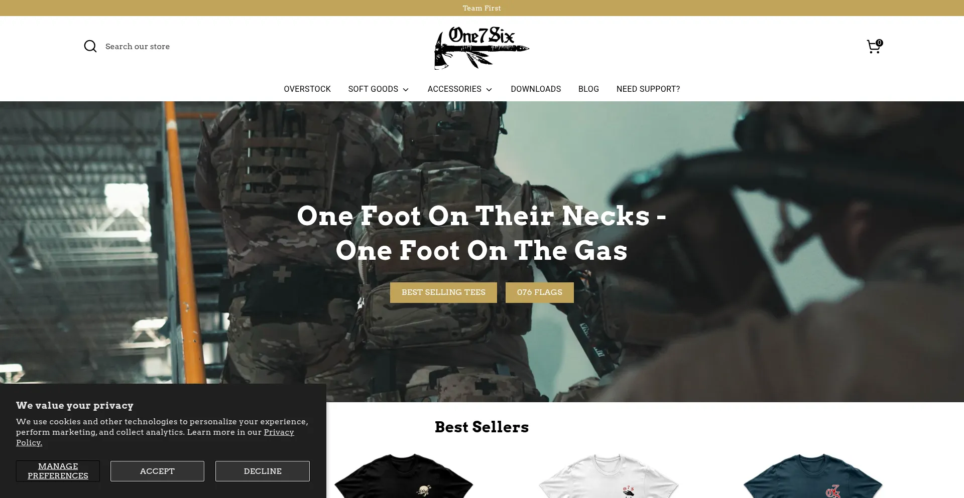 Website screenshot of Teamone7six.com
