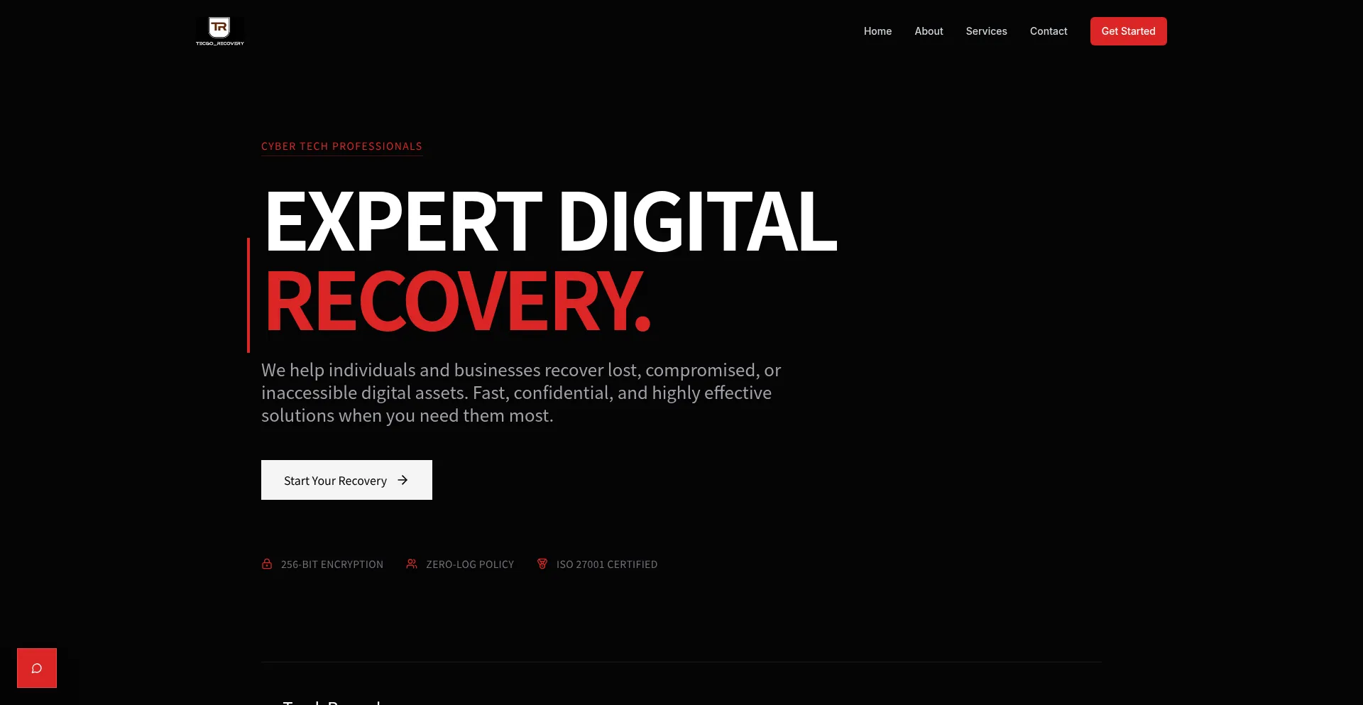 Techgorecoverypro.com