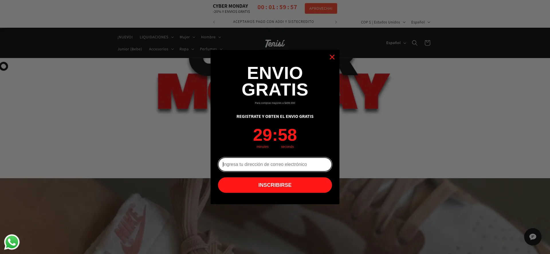 Website screenshot of Tenisi.co