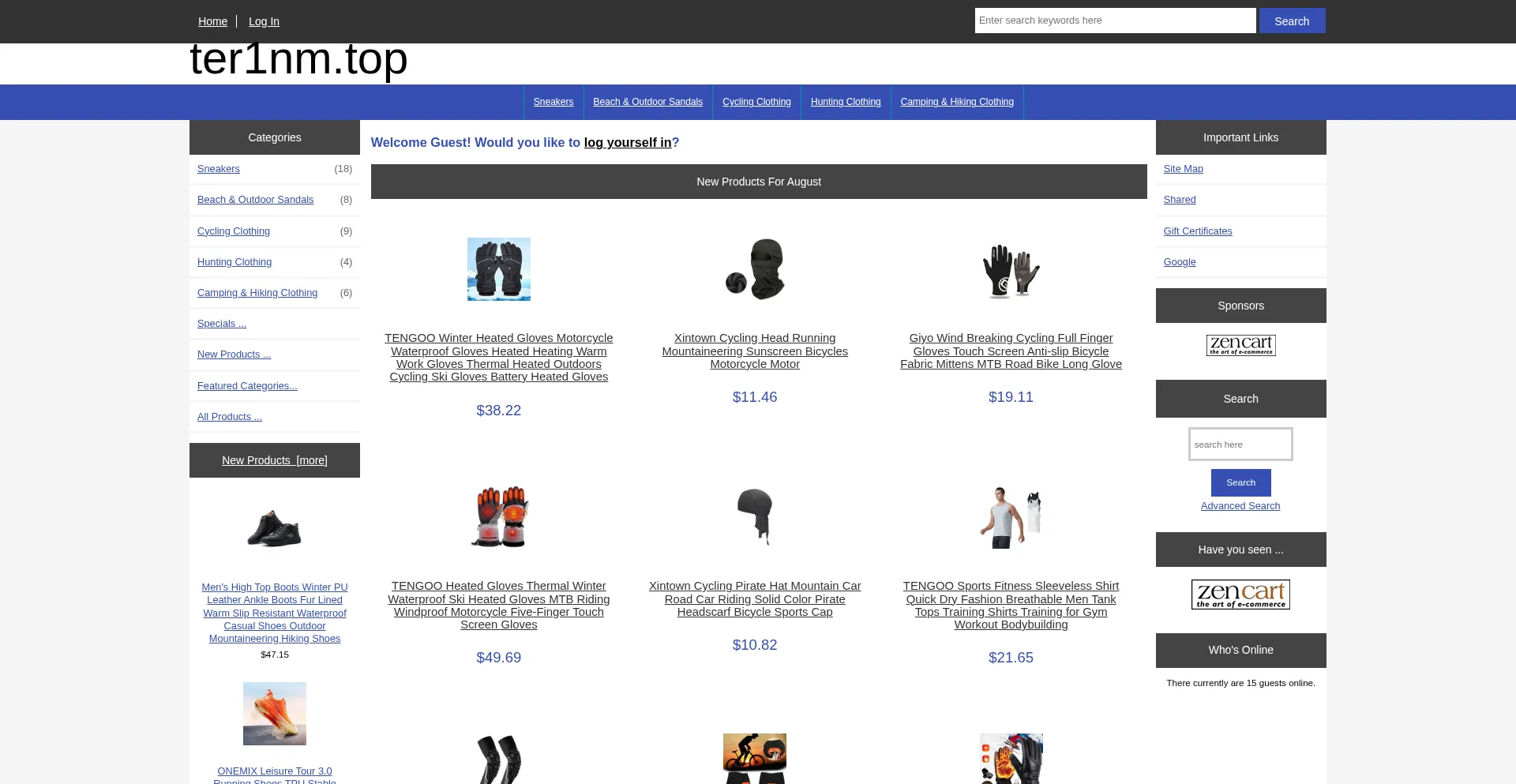 Website screenshot of Ter1nm.top