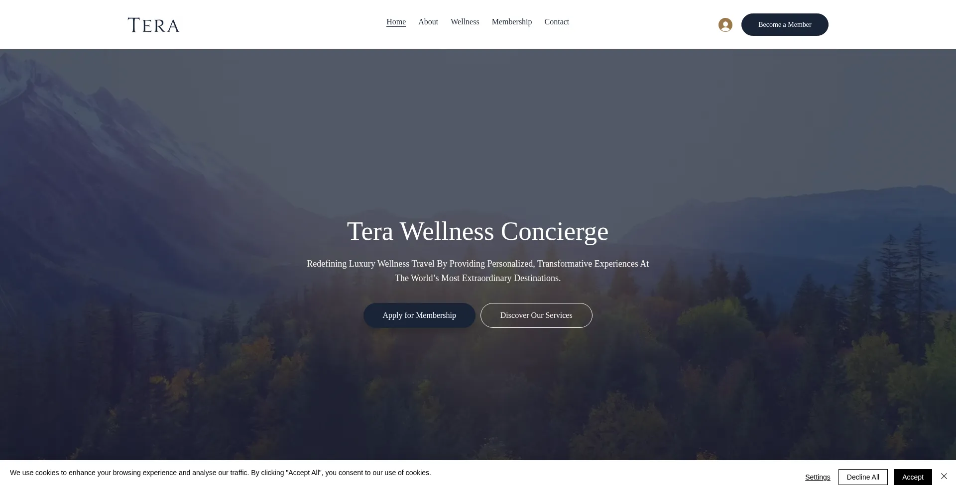 Website screenshot of Terawellnessconcierge.com