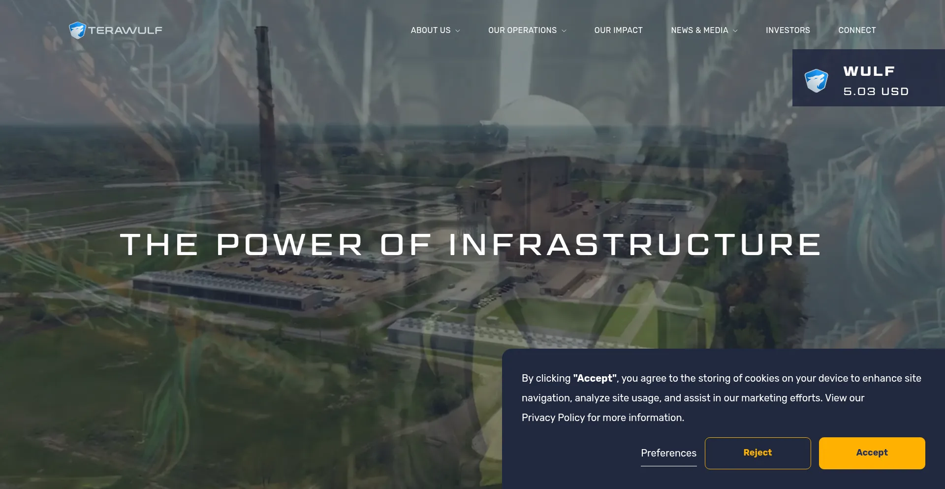 Website screenshot of Terawulf.com