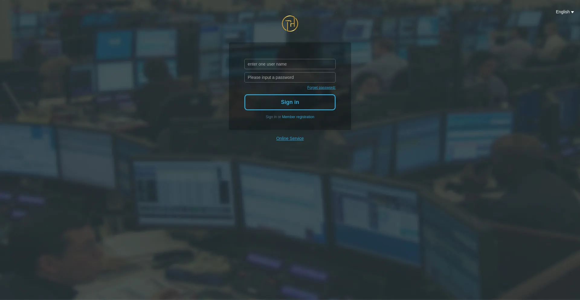 Website screenshot of Thcoins.cc
