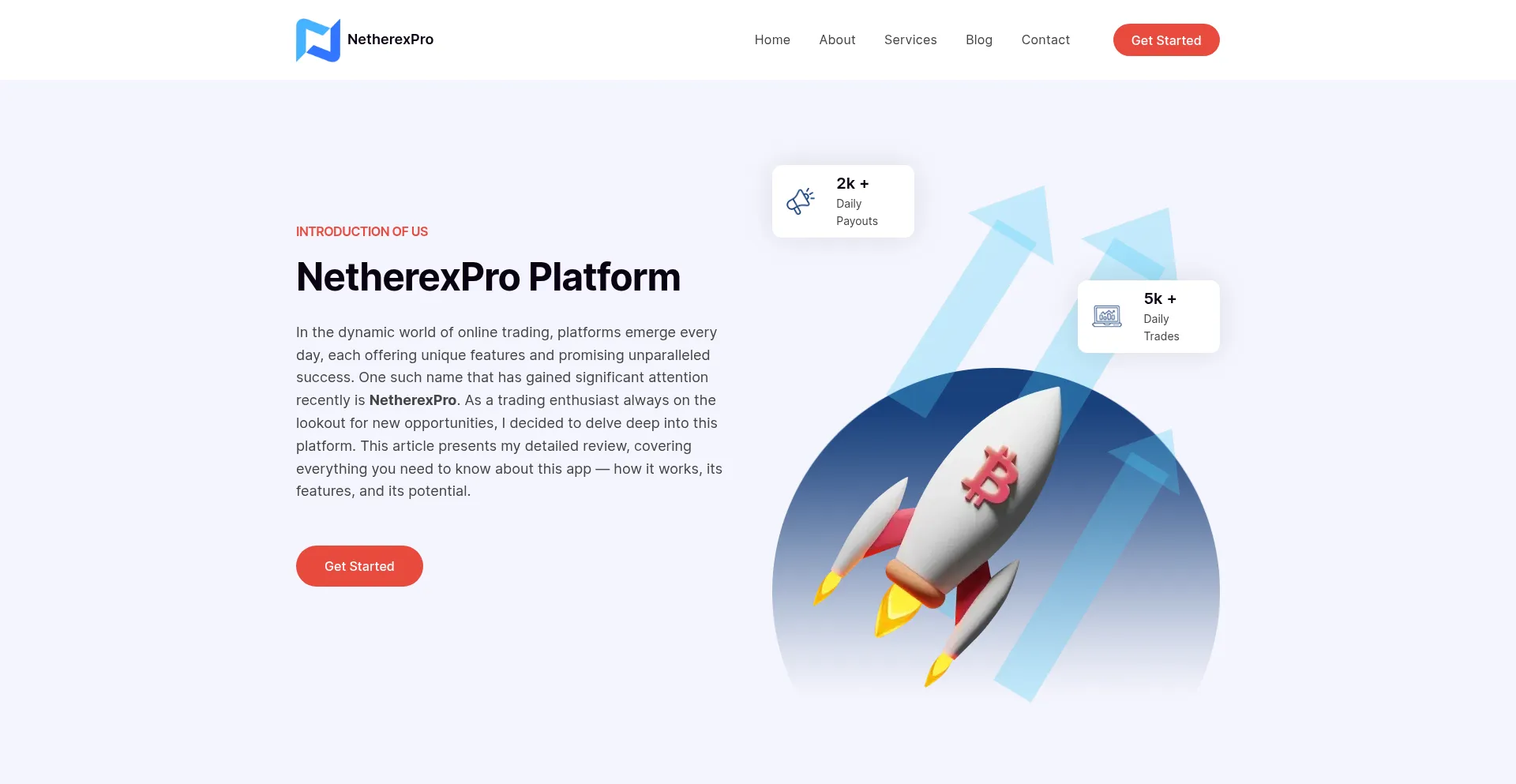 Website screenshot of The-netherexpro.com