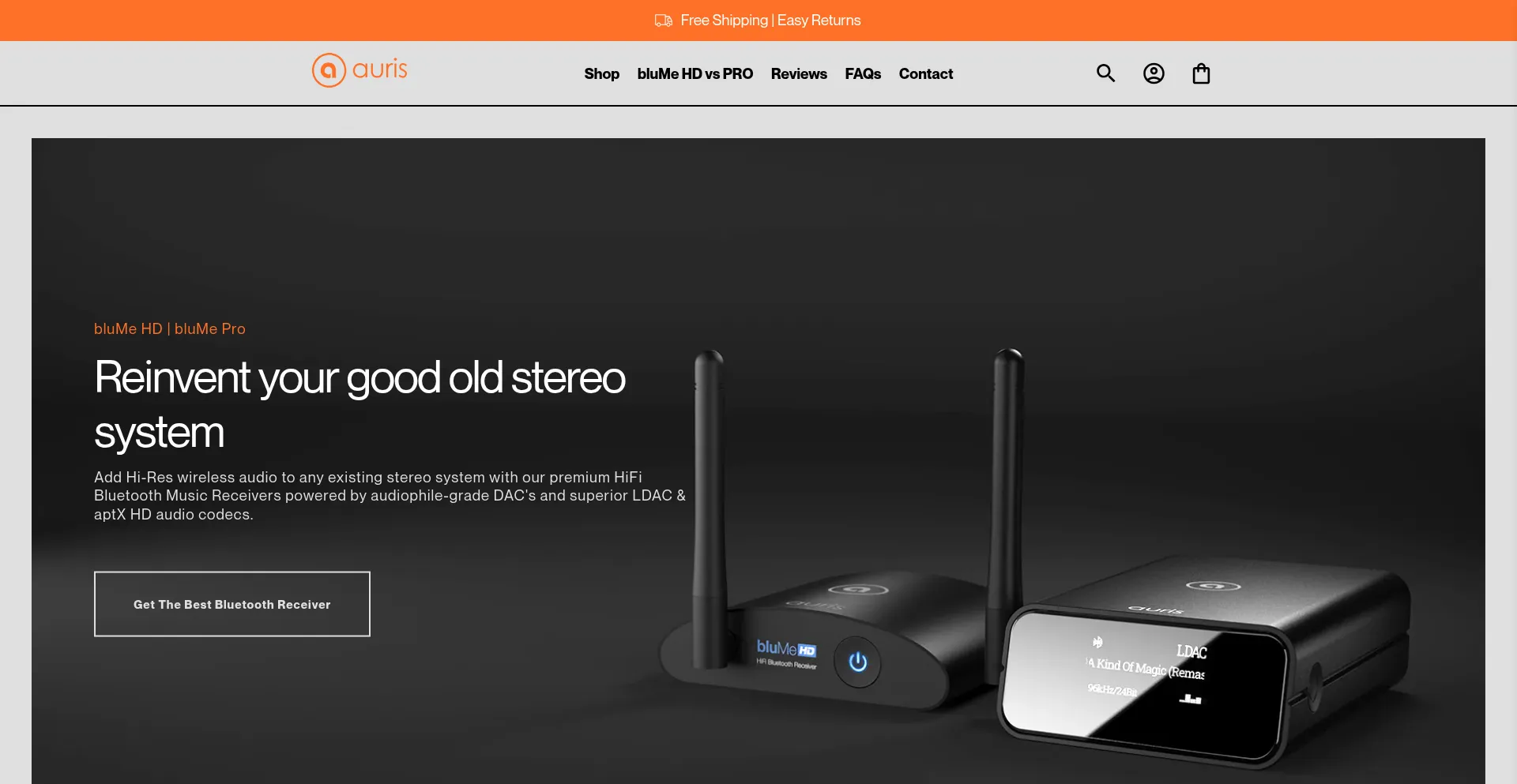 Website screenshot of Theauris.com