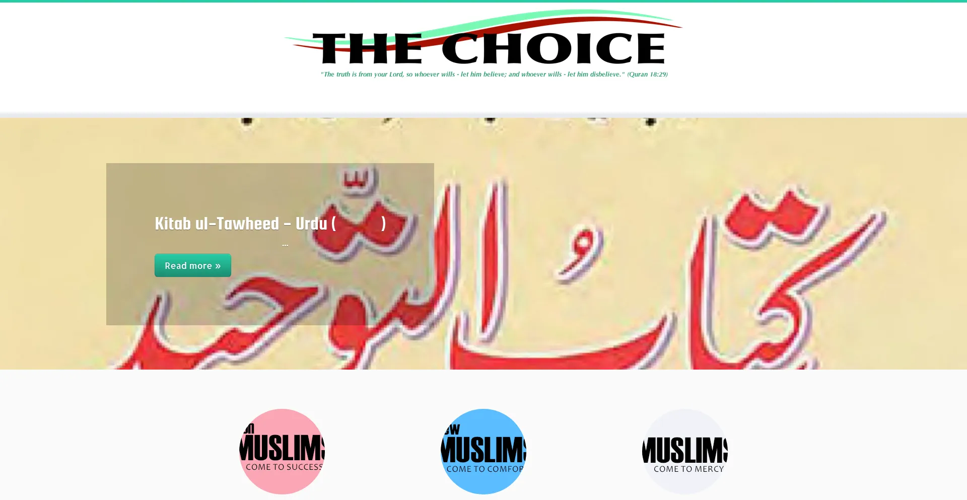 Website screenshot of Thechoice.one