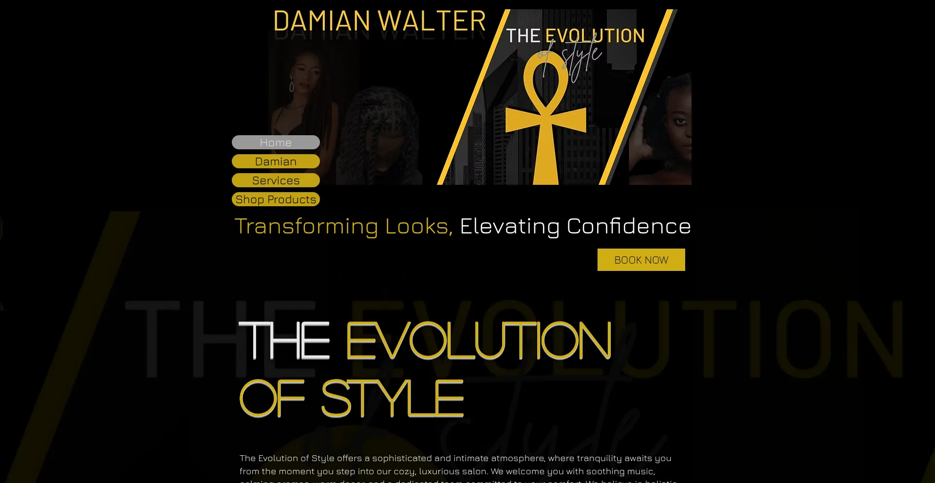 Website screenshot of Thedamianwalter.com