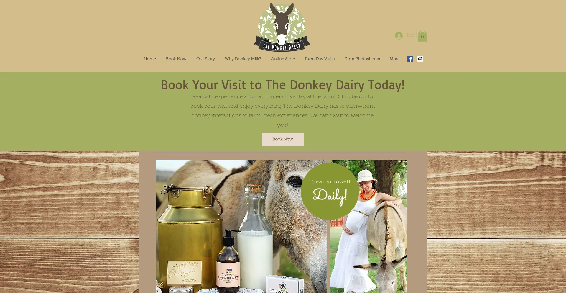 Website screenshot of Thedonkeydairy.com