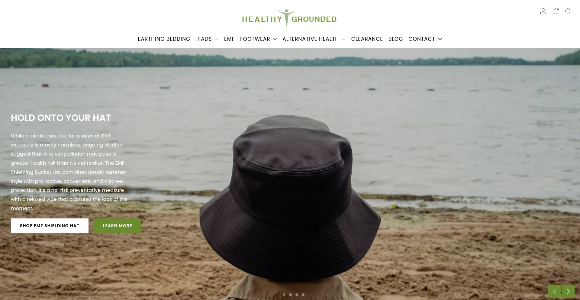 Theearthingstore.com