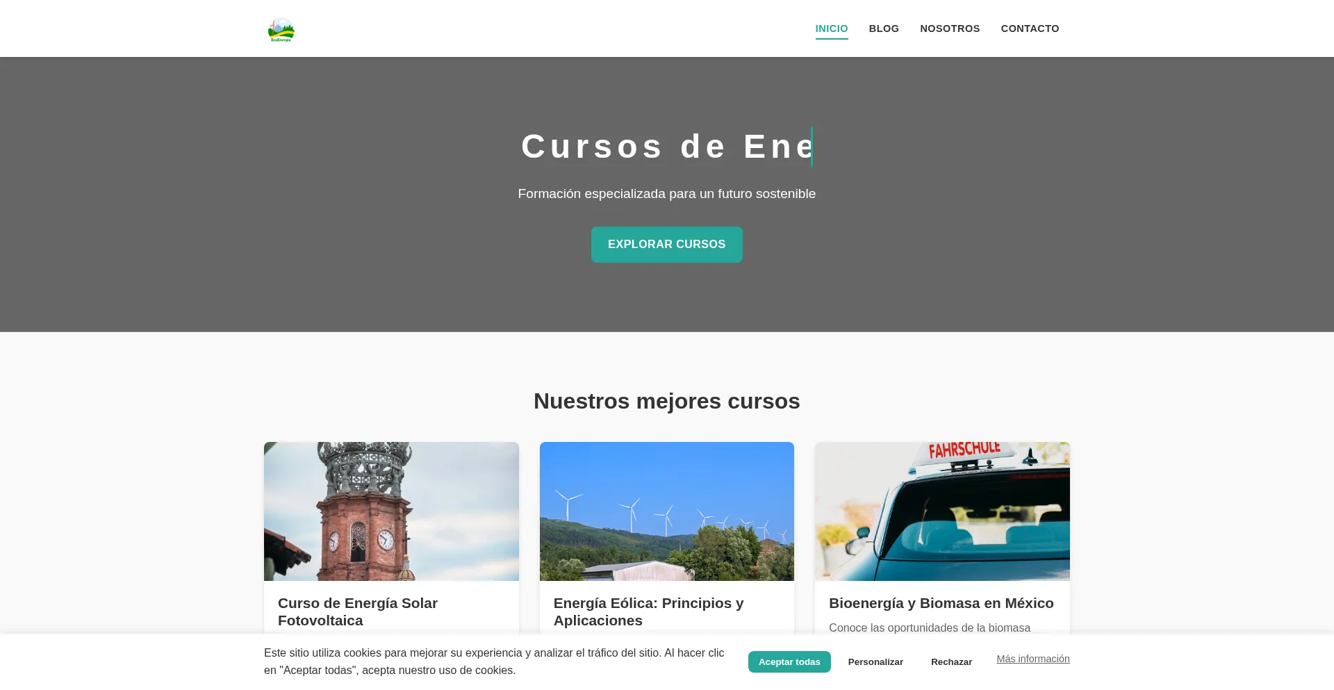 Website screenshot of Theecoenergiamx.com