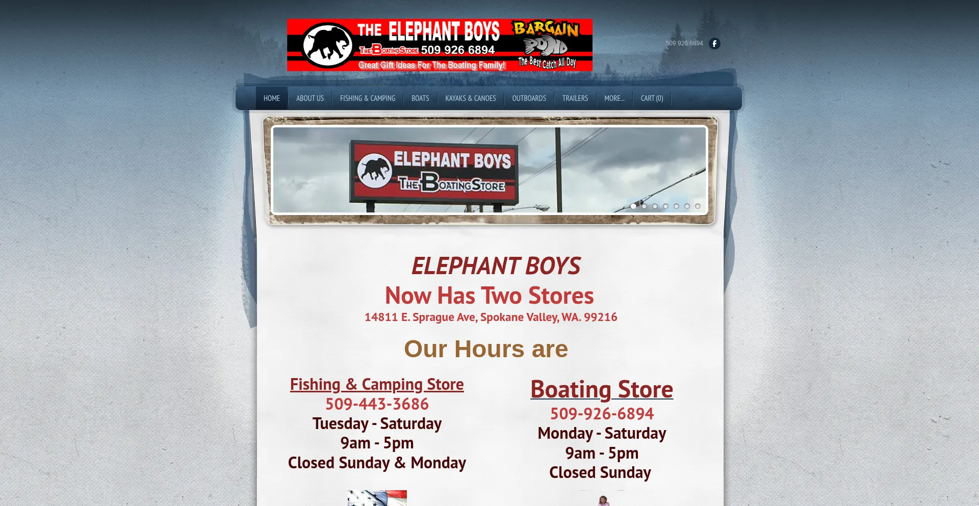 Theelephantboys.com é Seguro e Confiável?