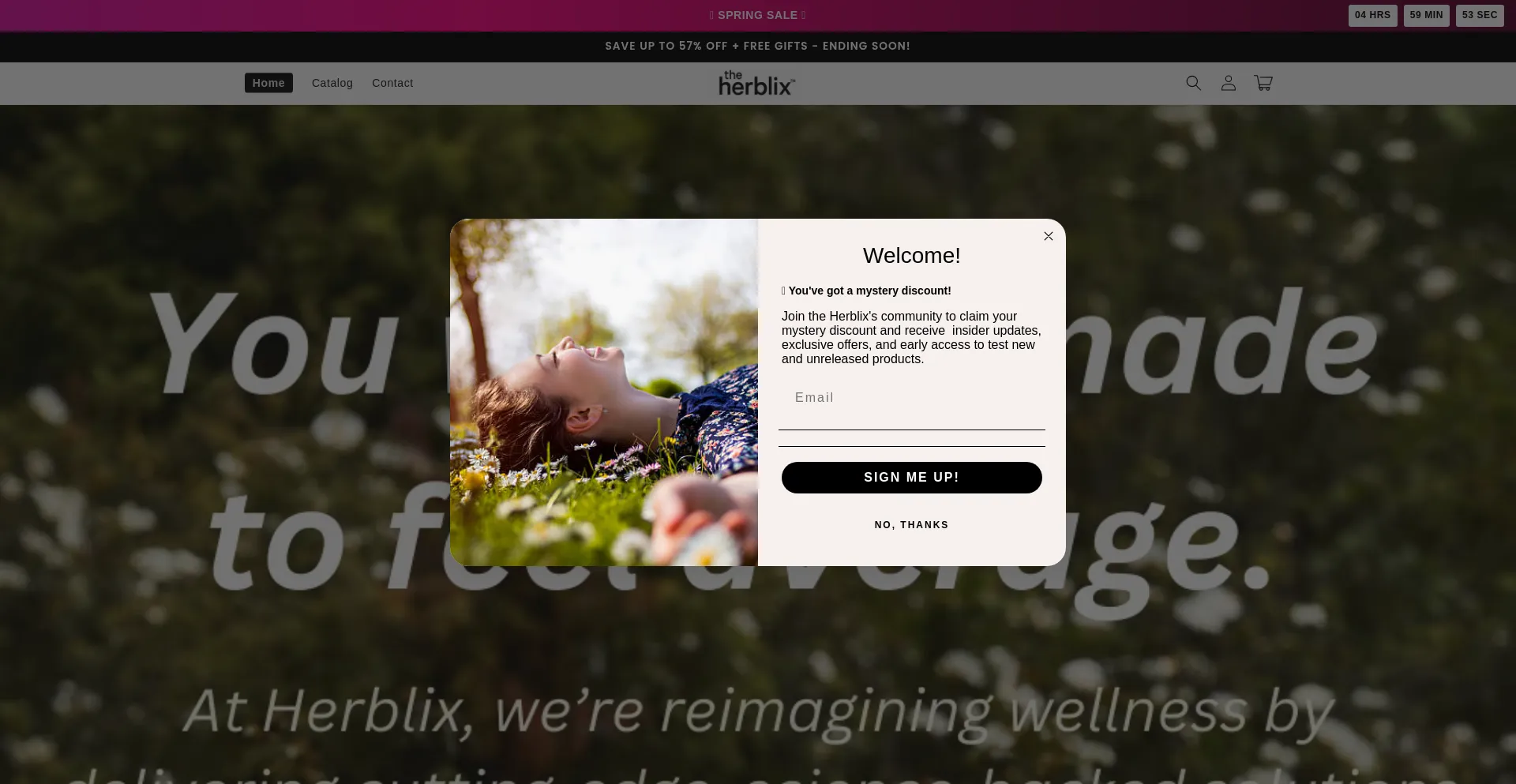 Website screenshot of Theherblix.com