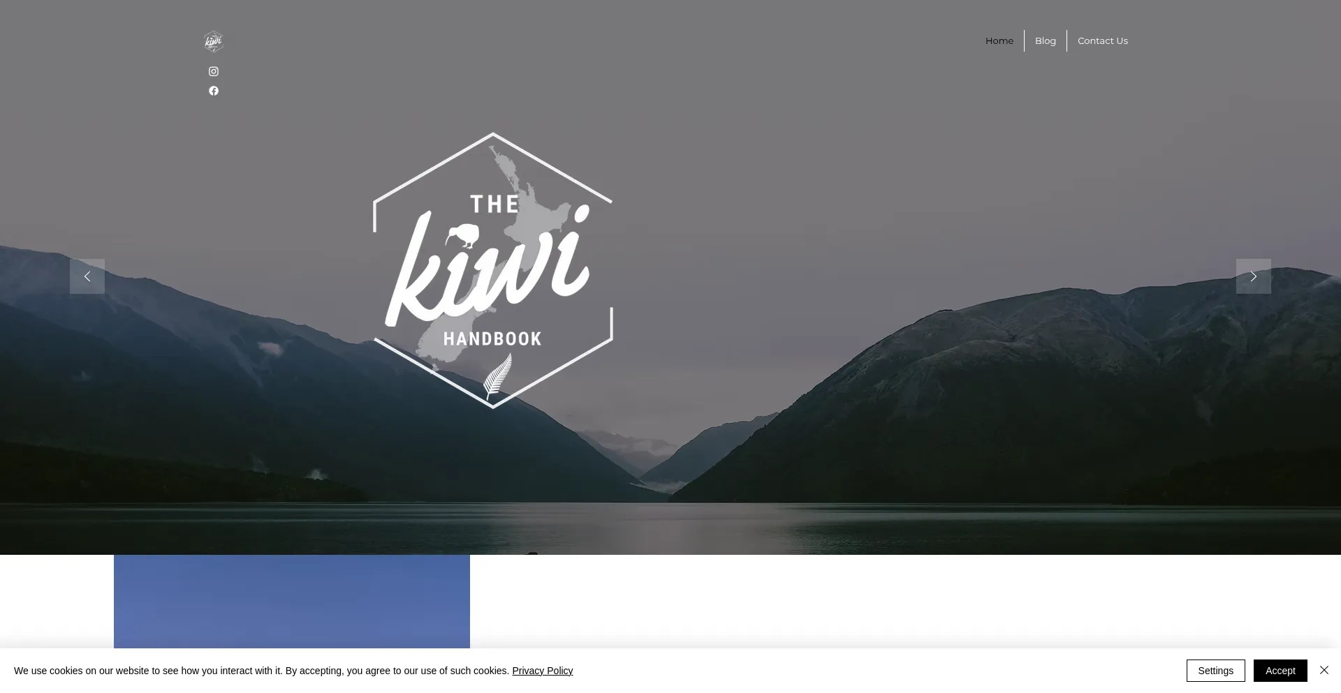 Website screenshot of Thekiwihandbook.com