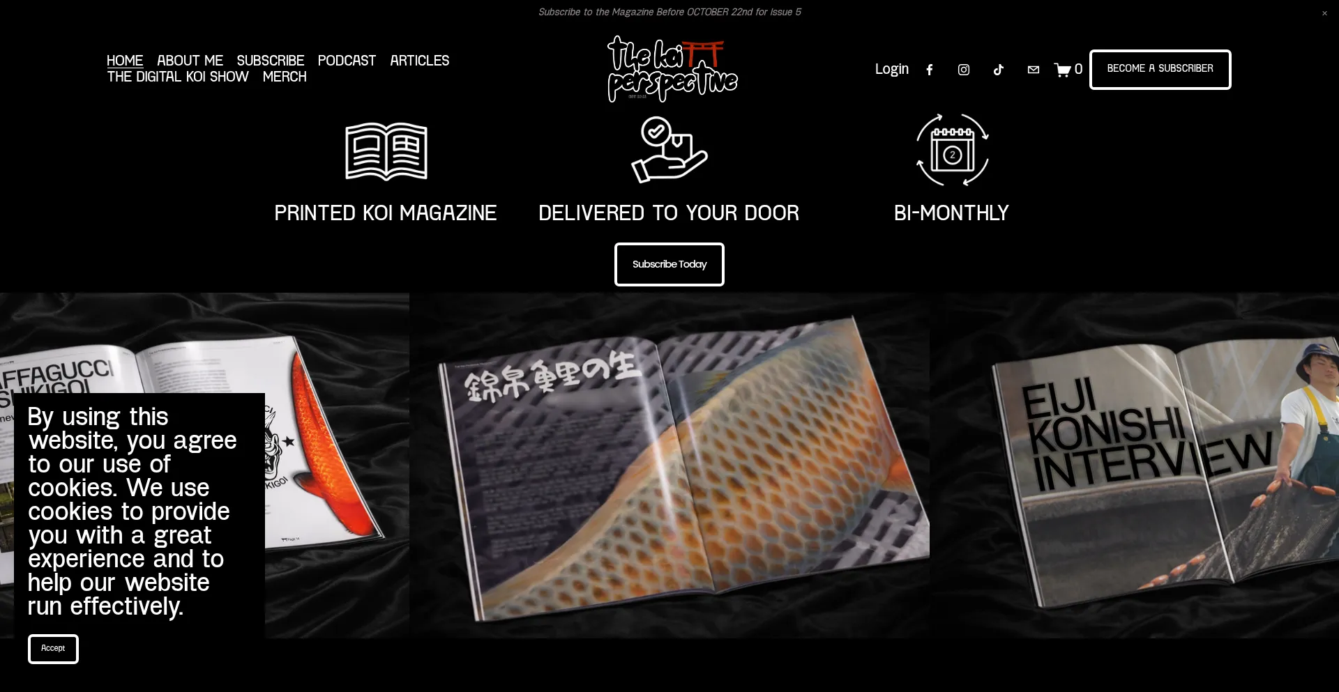 Thekoiperspective.com