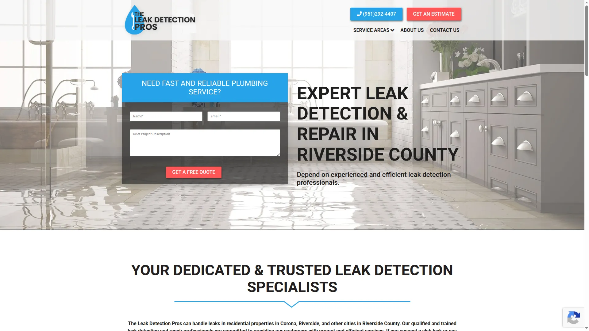 Theleakdetectionpros.com