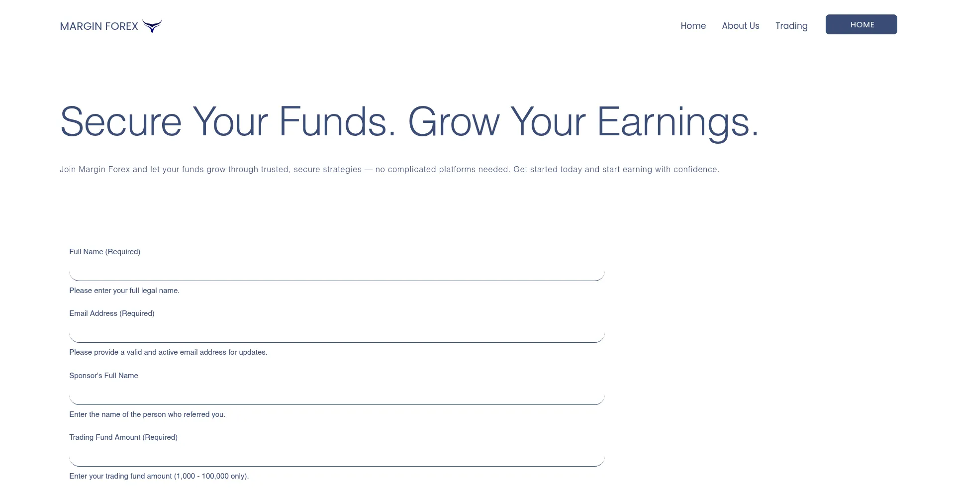 Website screenshot of Themarginforex.com
