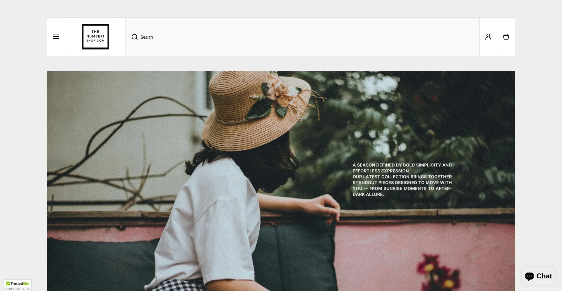 Website screenshot of Thenumber1shop.com