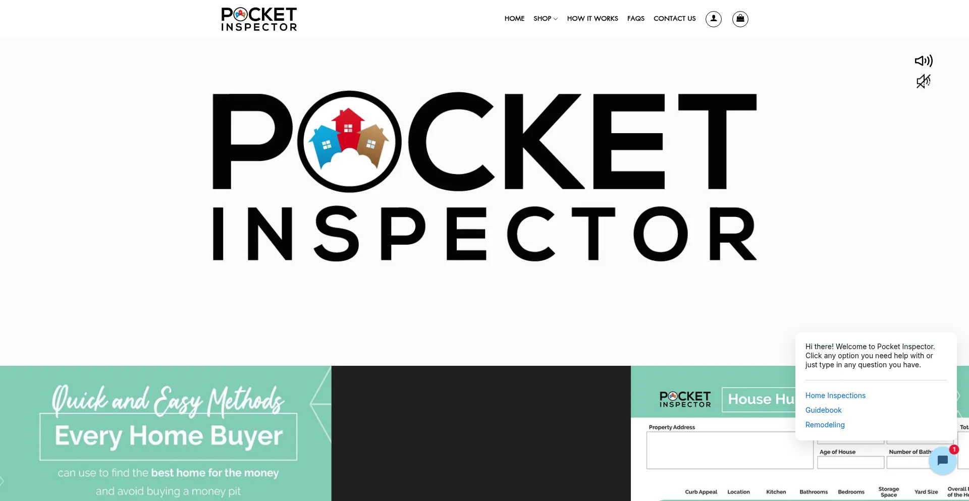 Thepocketinspector.com