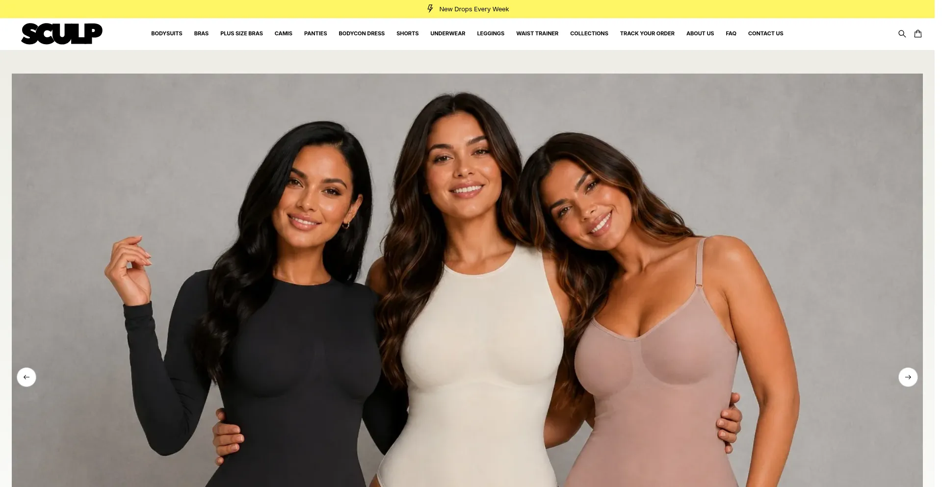 Thesculpstore.com