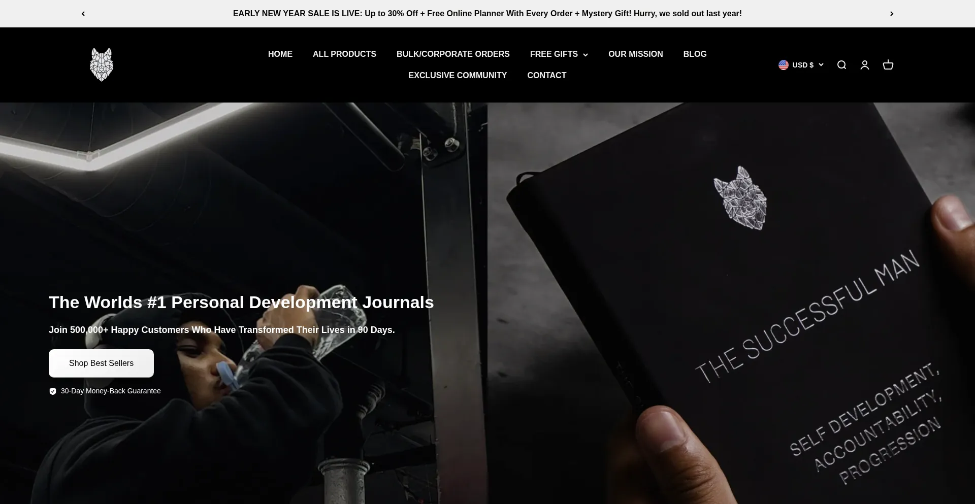 Thesuccessfulman.co.uk