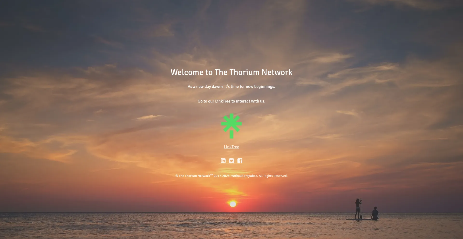Website screenshot of Thethoriumnetwork.com