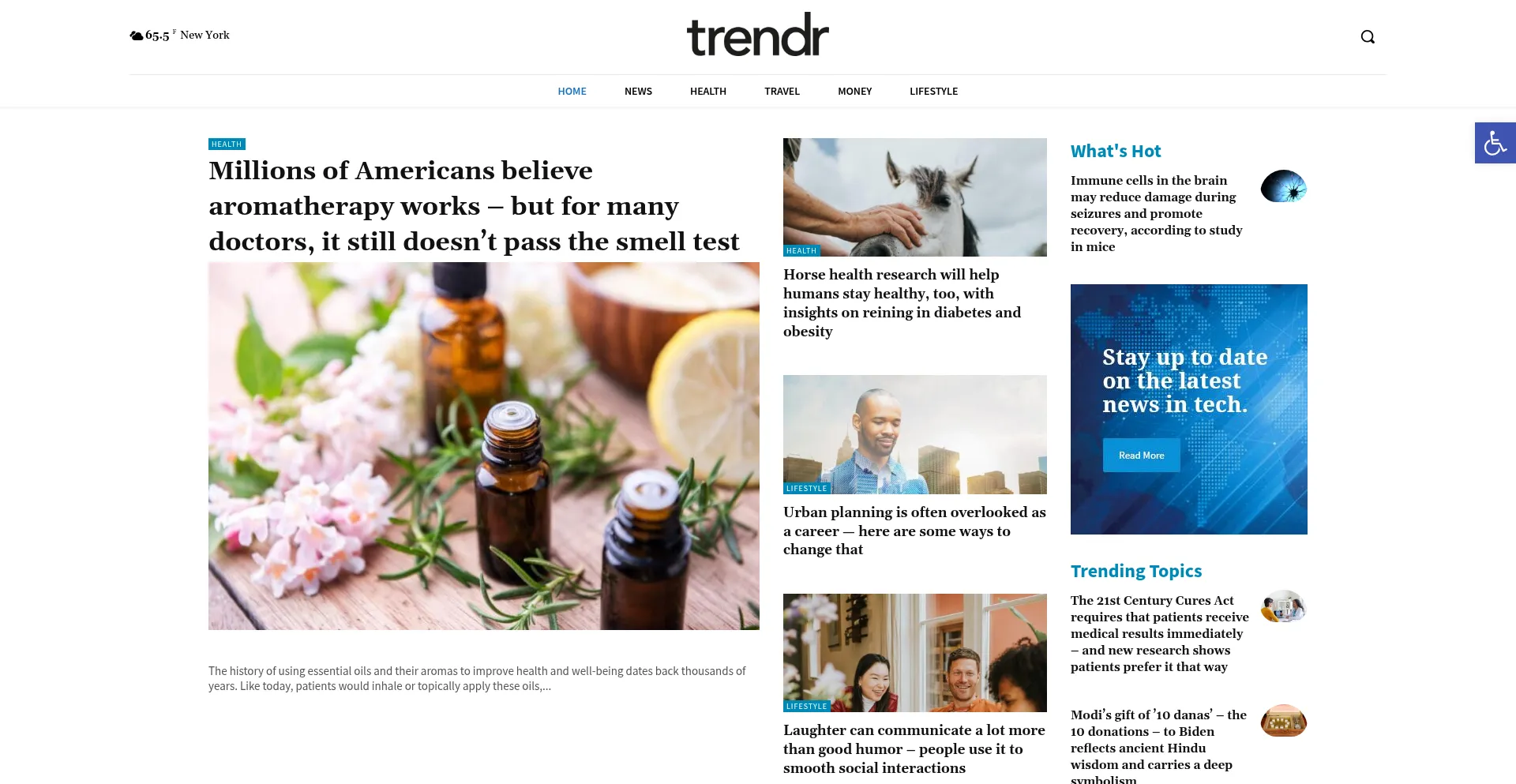 Thetrendrguide.com é Seguro e Confiável?