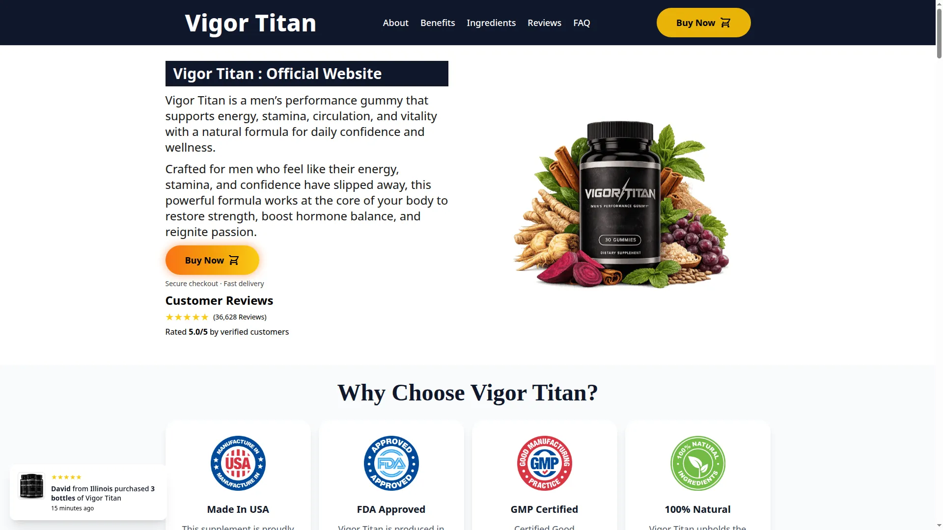 Thevigortitan.com