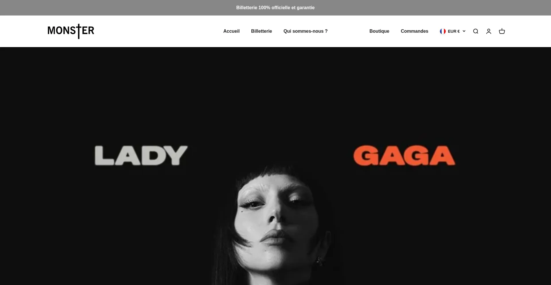 Website screenshot of Ticket-monster.fr