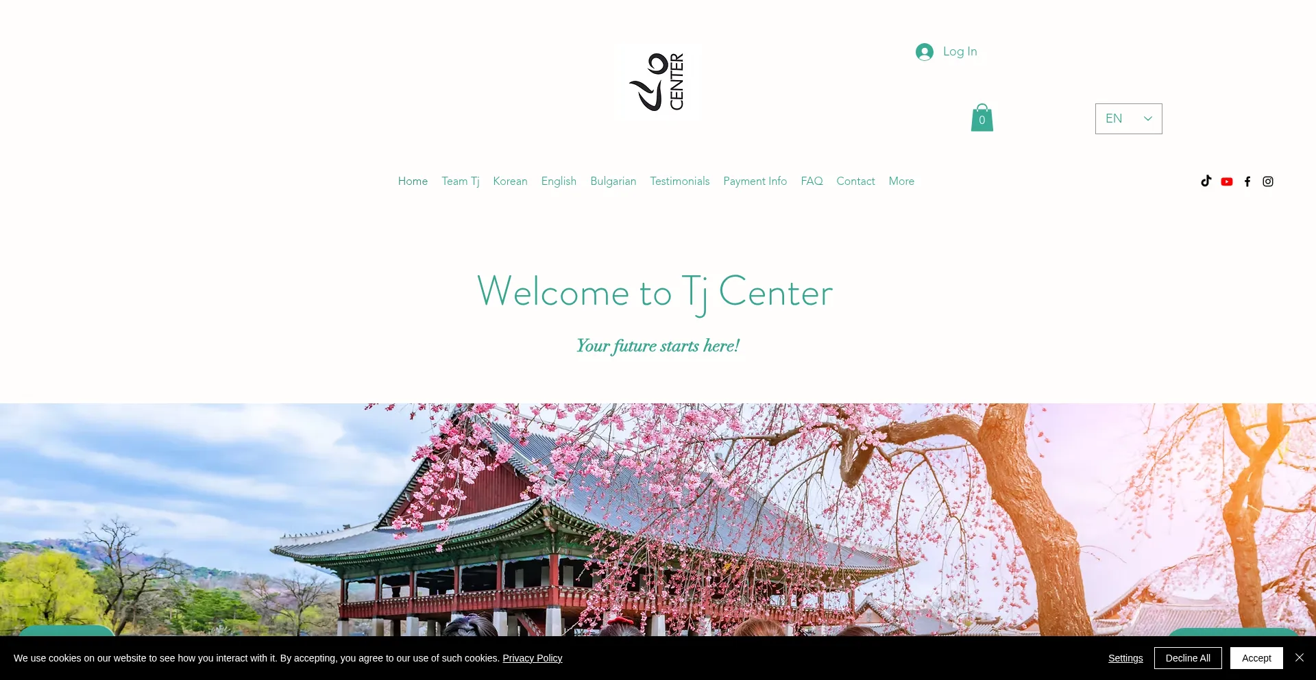 Website screenshot of Tjcenter.net