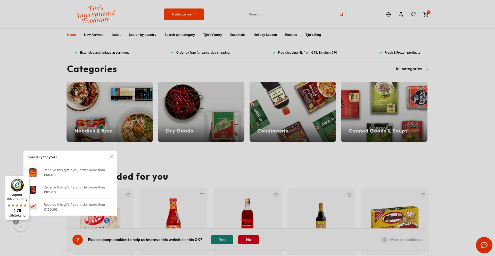 Website screenshot of Tjinstoko.eu