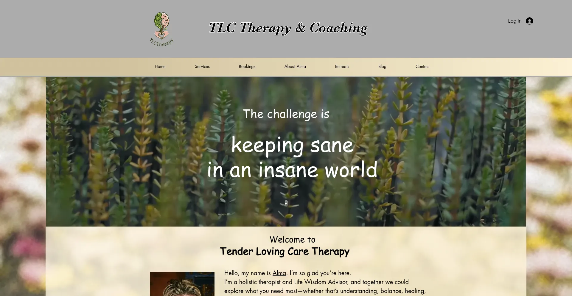 Tlctherapy.com.au