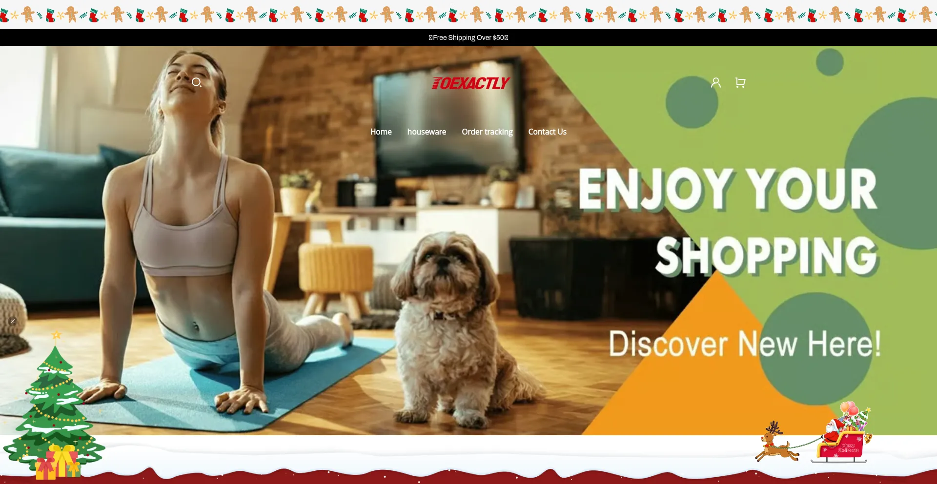 Website screenshot of Toexactly.com