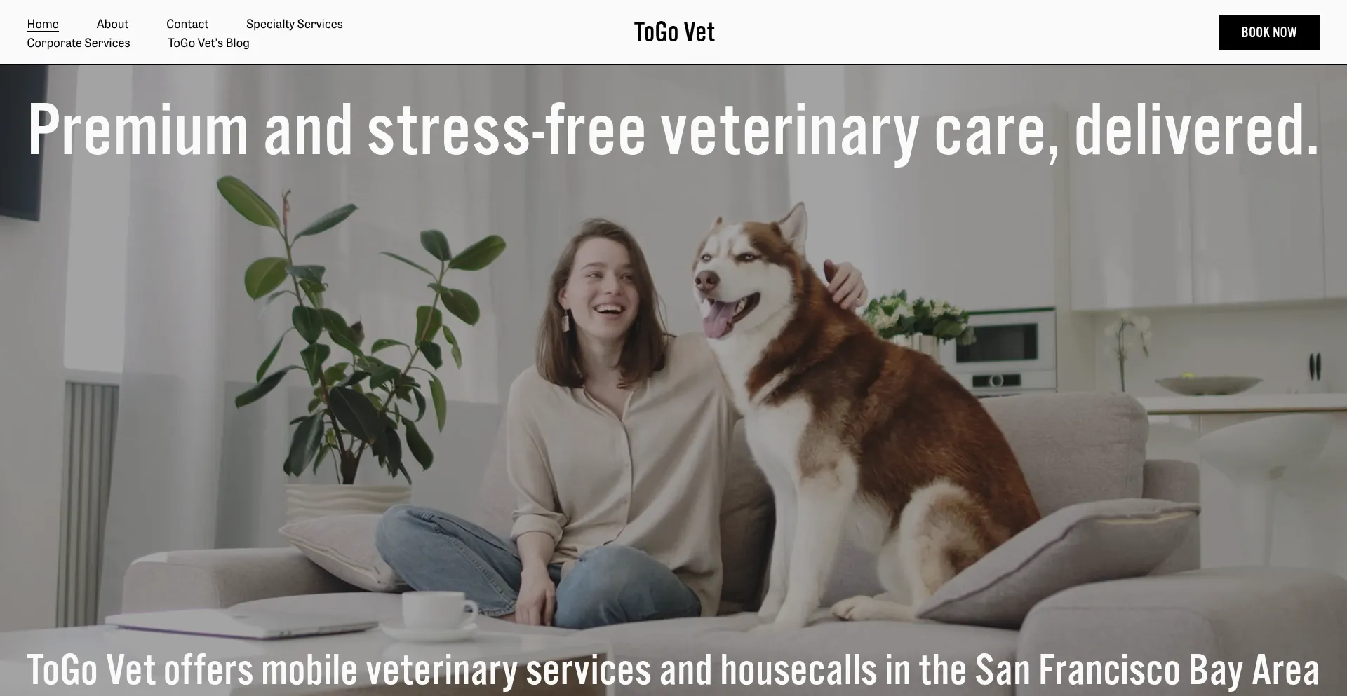 Website screenshot of Togovet.com