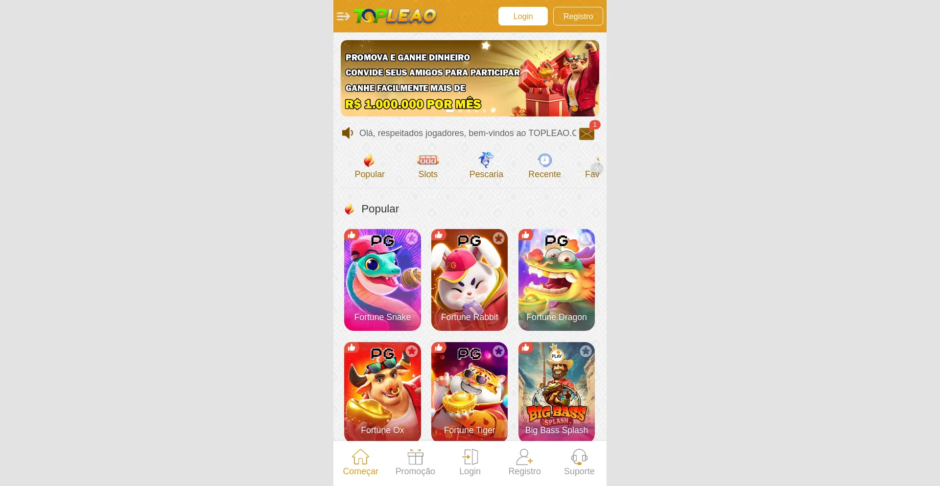 Website screenshot of Topleao.com