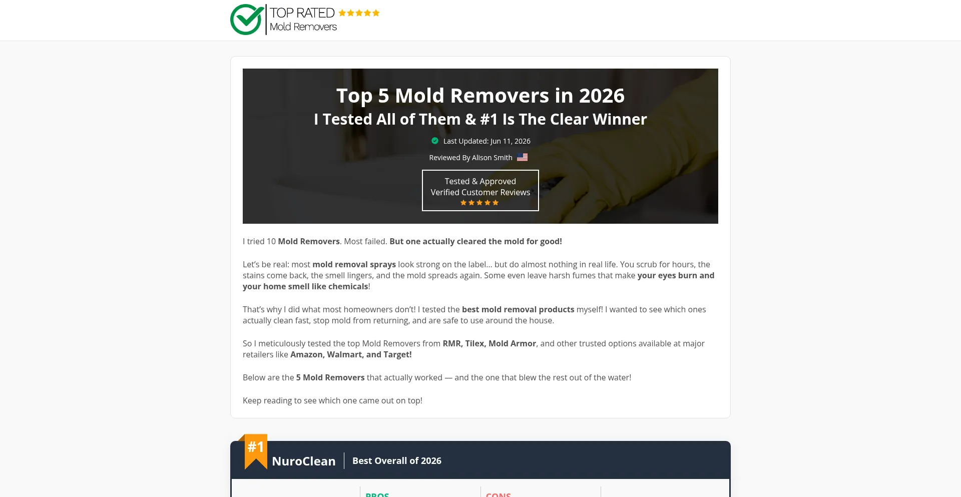 Topmoldremovers.com
