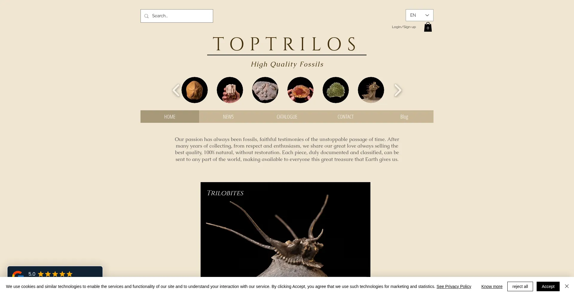 Website screenshot of Toptrilos.com