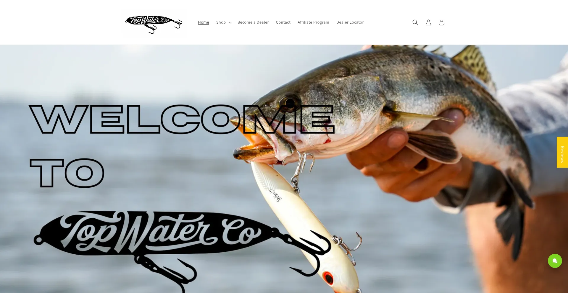 Topwatercompany.com