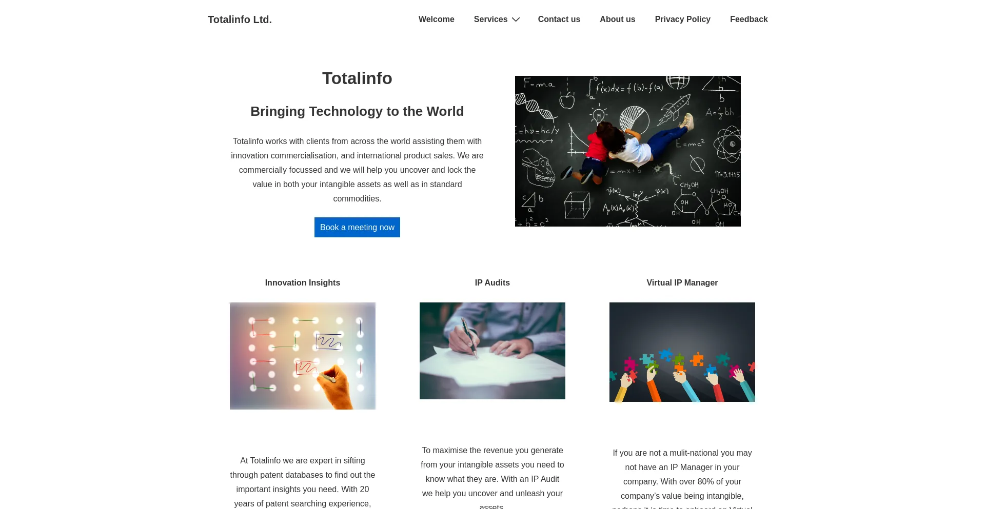 Website screenshot of Totalinfo.net