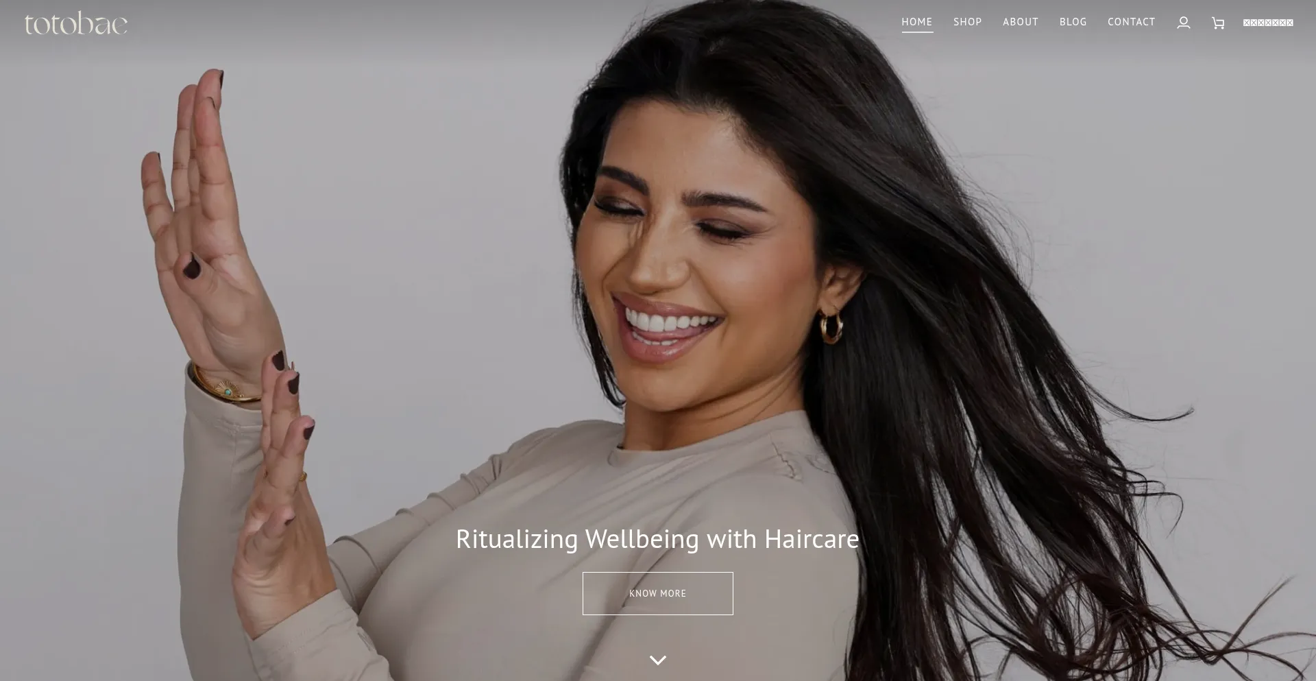 Website screenshot of Totobae.com