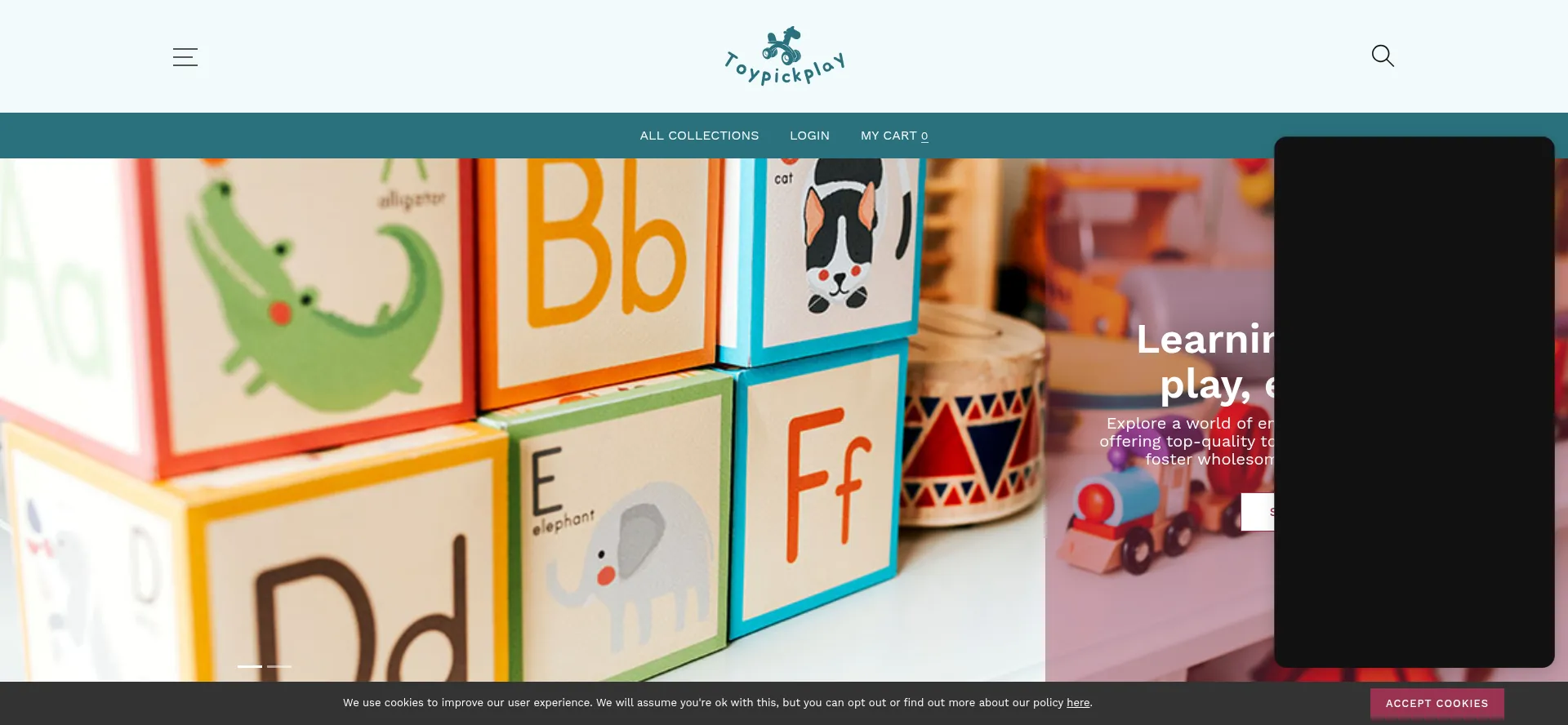 Website screenshot of Toypickplay.com