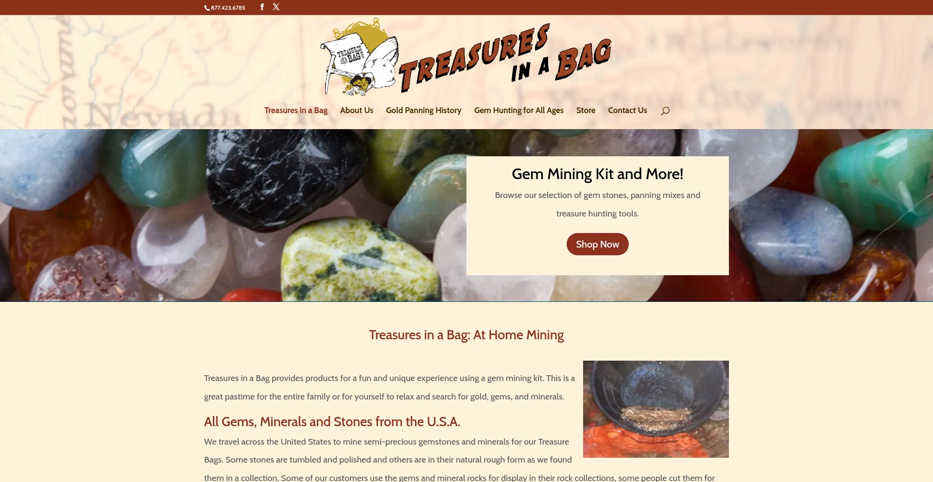 Treasuresinabag.com