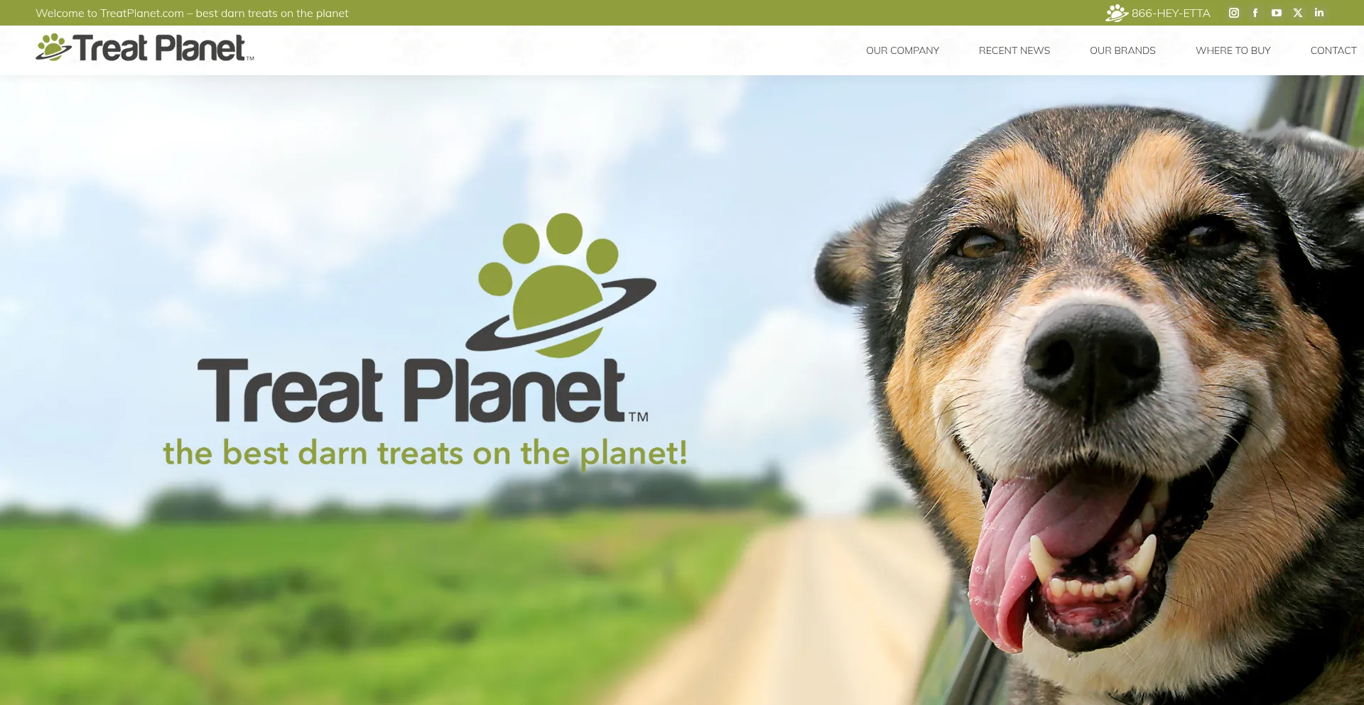 Treatplanet.com é Seguro e Confiável?