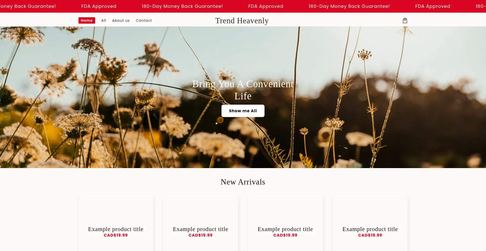 Trendheavenly.com é Seguro e Confiável?