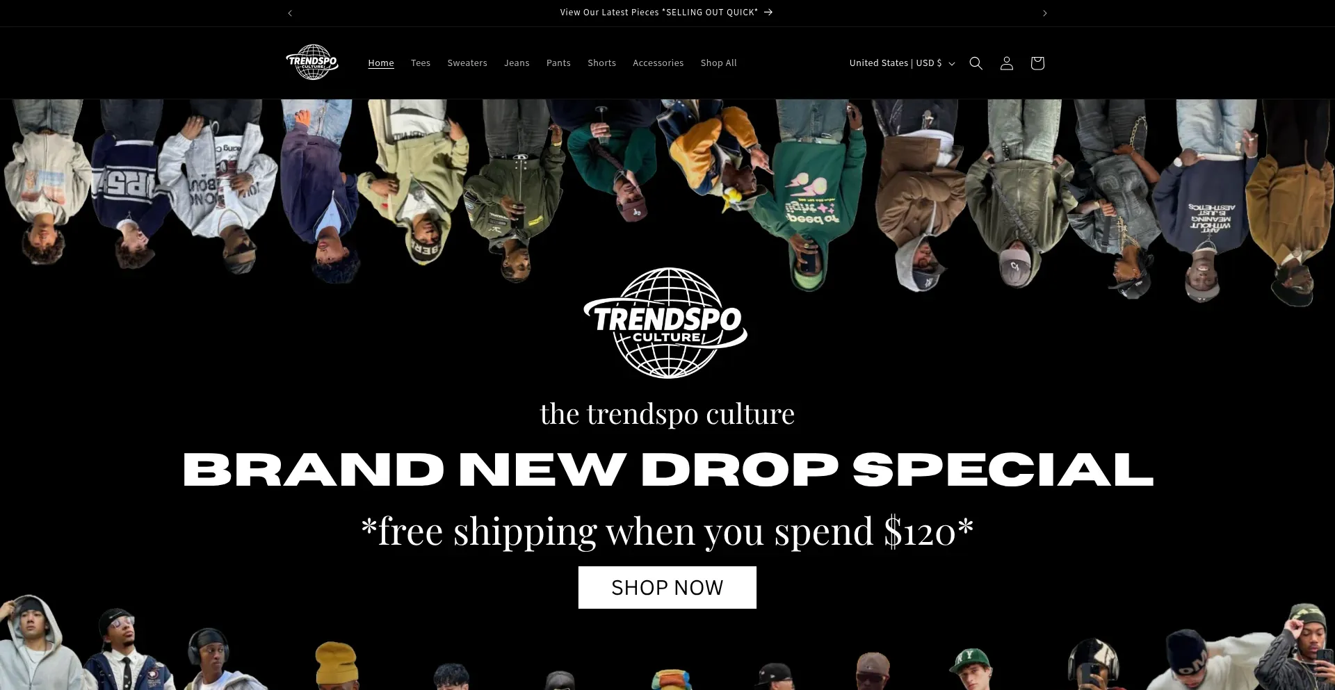Website screenshot of Trendspo.shop