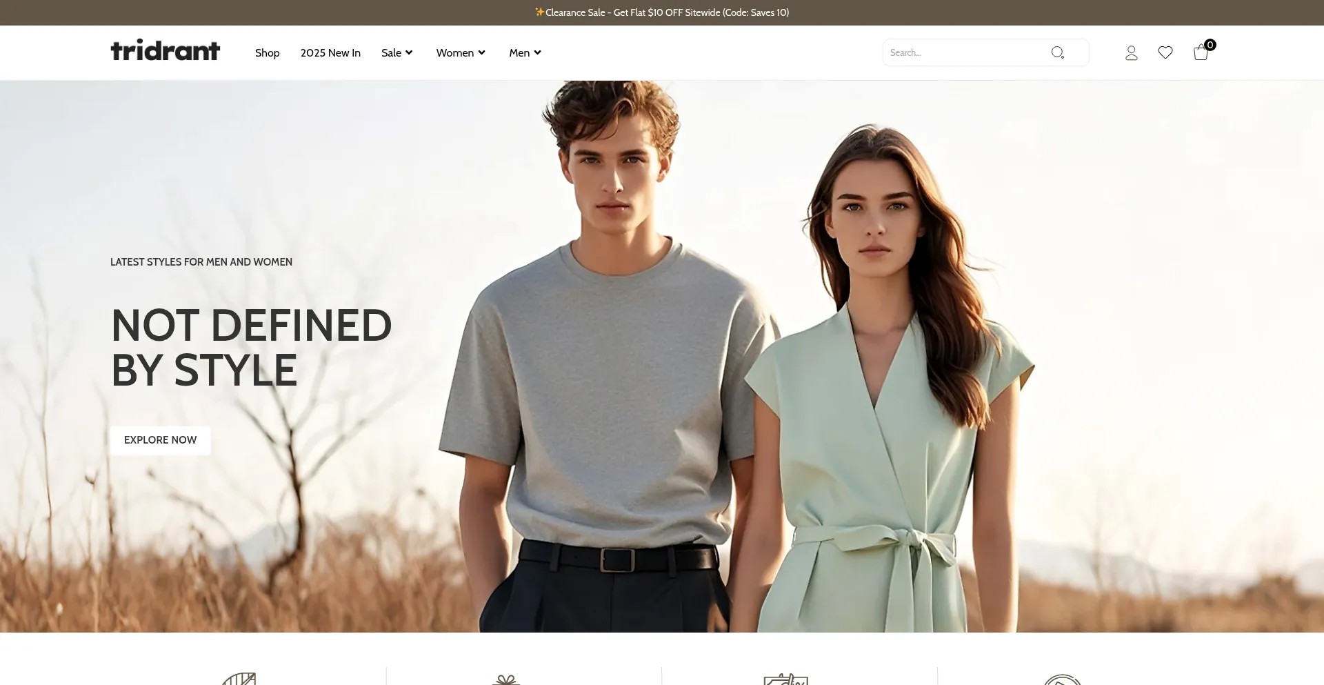 Website screenshot of Tridrant.com