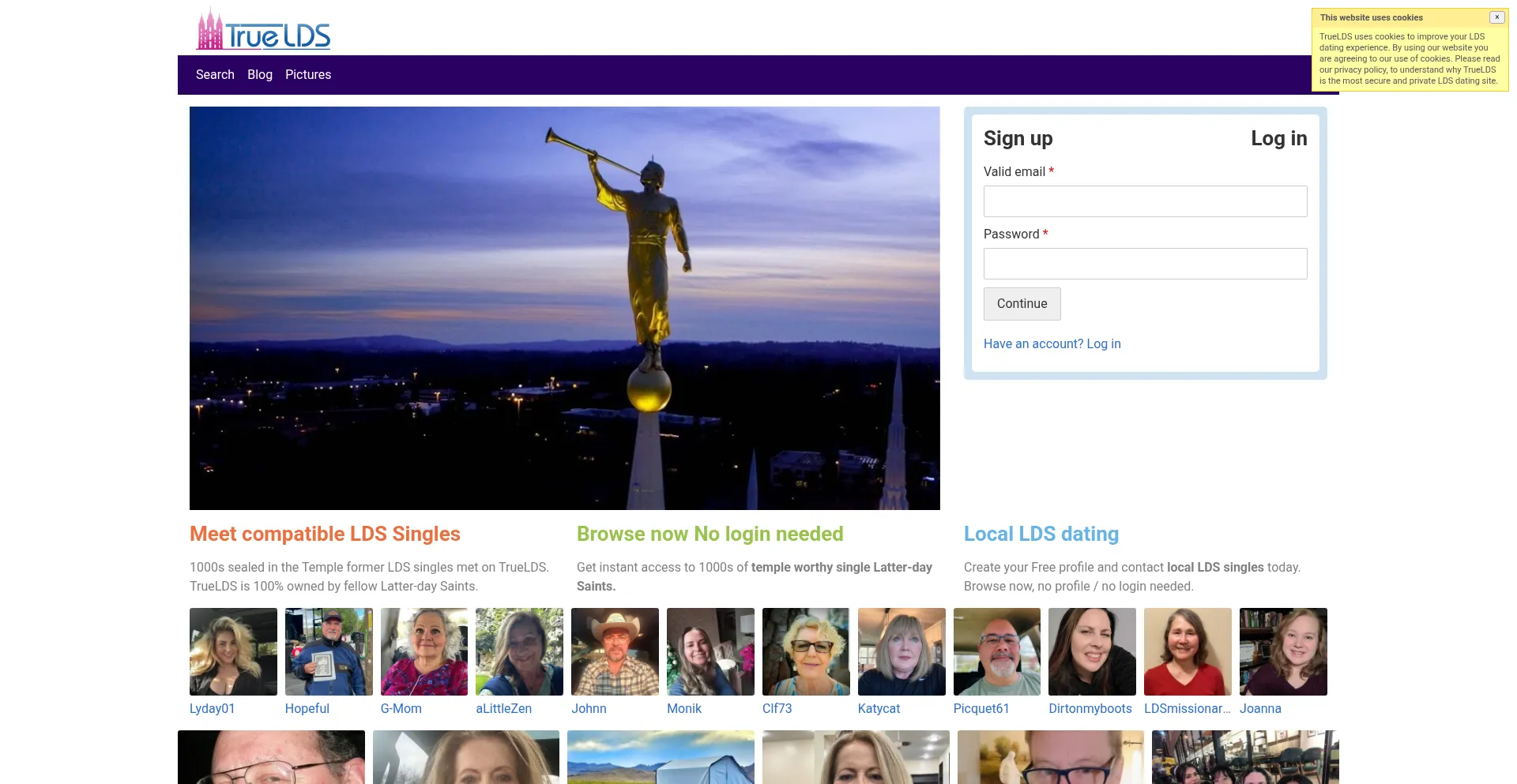Website screenshot of Truelds.com