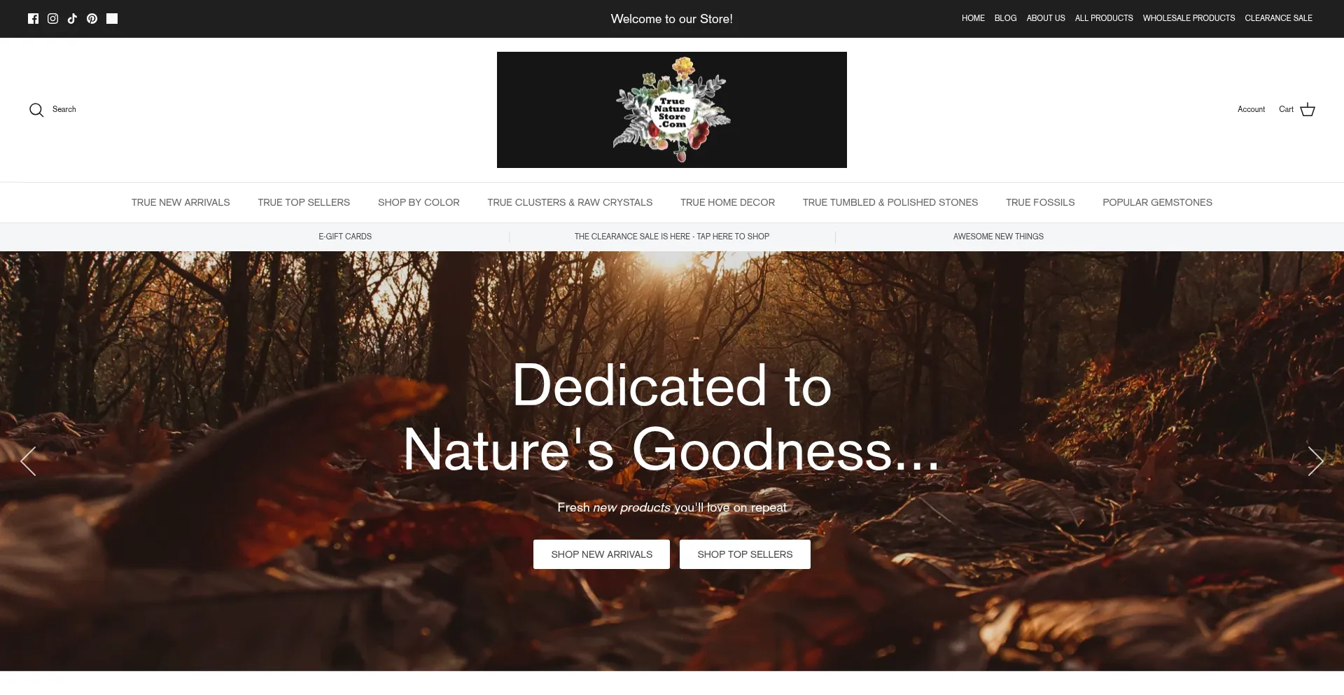 Website screenshot of Truenaturehomestead.com