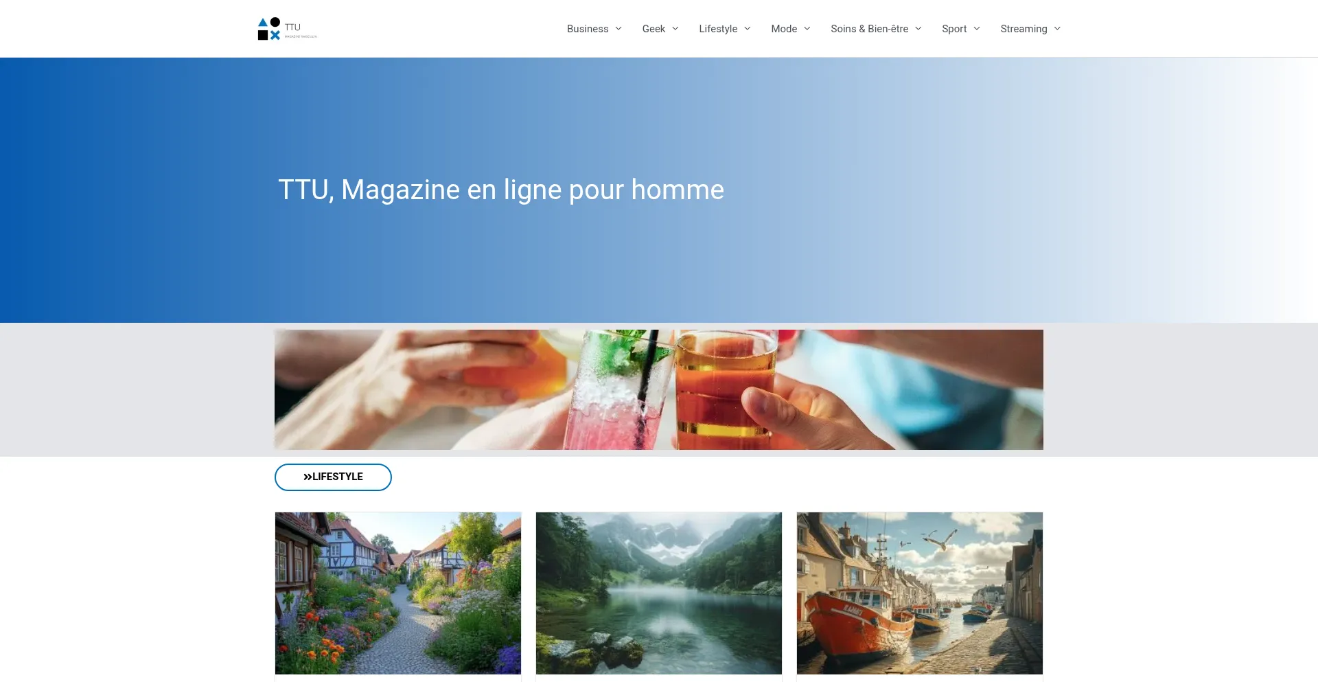 Website screenshot of Ttu.fr
